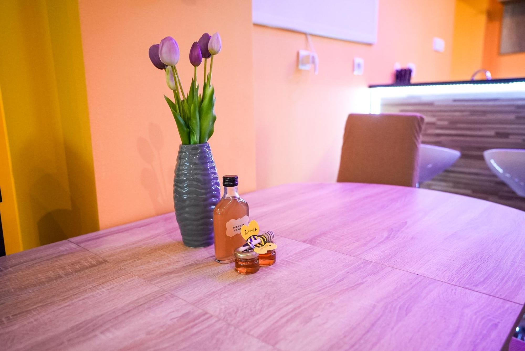 Honey Apartment Lendava Buitenkant foto